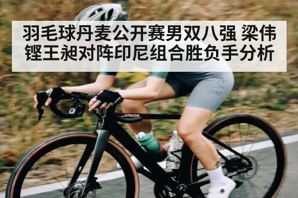 羽毛球丹麦公开赛男双八强 梁伟铿王昶对阵印尼组合胜负手分析